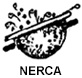 nerca - New England Retail Confectioners Association